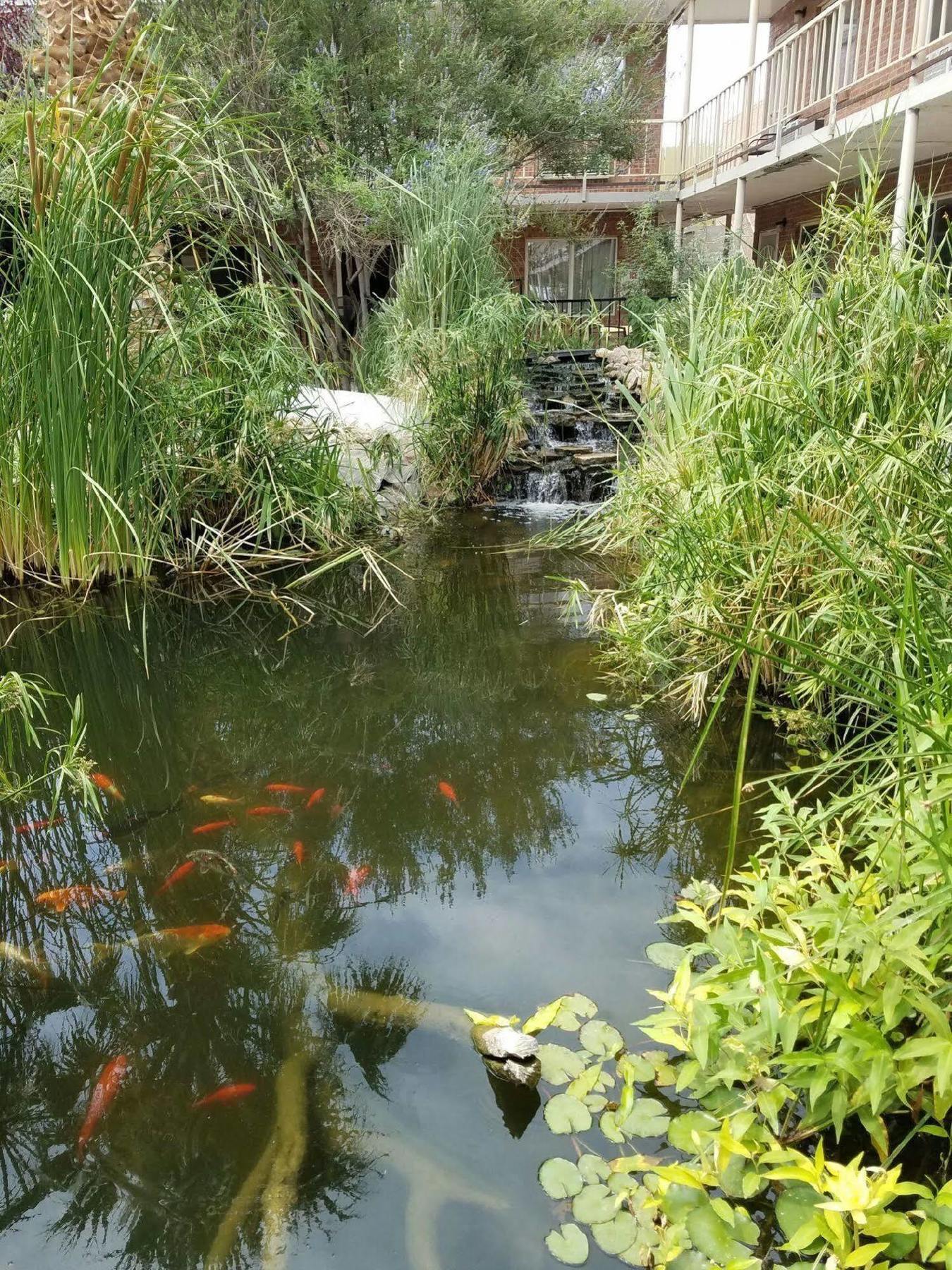 Big Chile Inn & Suites Las Cruces Buitenkant foto